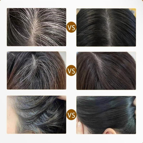 Covering White Hair is Simple and Convenient 20gm - Black - view 4
